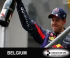 Σεμπάστιαν Φέτελ πανηγυρίζει τη νίκη του στο Grand Prix του Βελγίου 2013